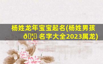 杨姓龙年宝宝起名(杨姓男孩 🦁 名字大全2023属龙)